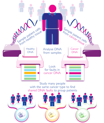 A diagram explaining the International Cancer Genome Consortium