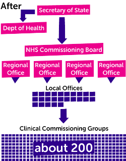 NHS structure - after