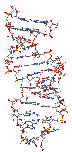 Micro RNAs are becoming important players in cancer research