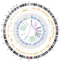 Pleasance ED et al. (2009) A small-cell lung cancer genome with complex signatures of tobacco exposure. Nature. doi:10.1038/nature08629