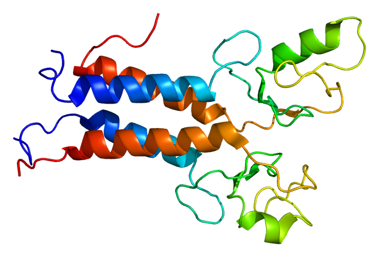 BRCA1 protein