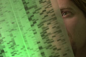 Researcher looking at DNA 