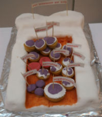 Making blood cells - Cancer Research UK #sciencecakes competition -Belfast entry