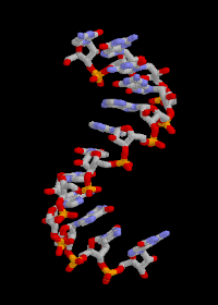 Structure of RNA 