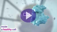 Watch an animation showing how BRAF-targeting drugs work