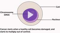Watch this animation showing how cell division can go wrong in cancer on YouTube
