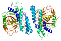 https://commons.wikimedia.org/wiki/File:Protein_PARP1_PDB_1uk0.png?uselang=en-gb