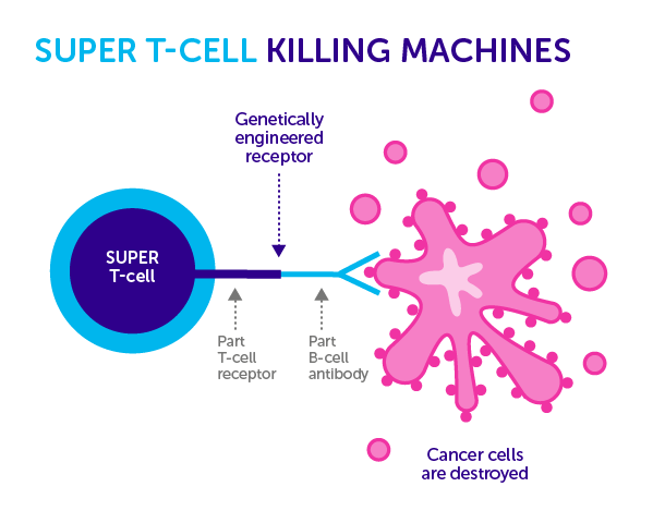 160104-super-T-cells-update