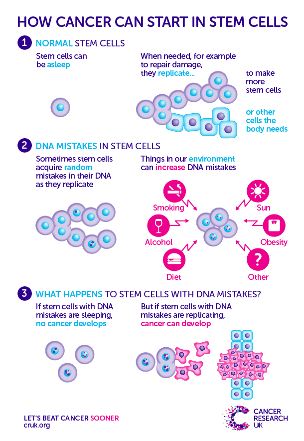 160818-Gilbertson-Stem-Cells-and-Cancer