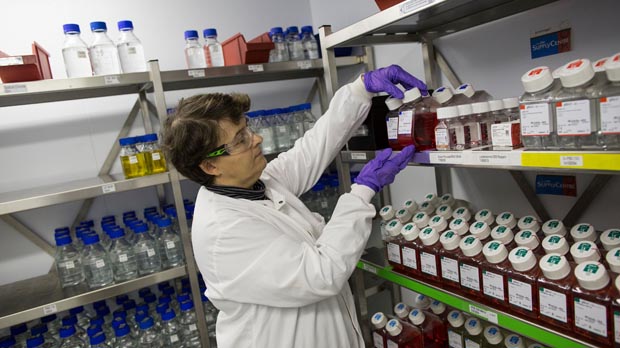 Scientist selecting cell culture media