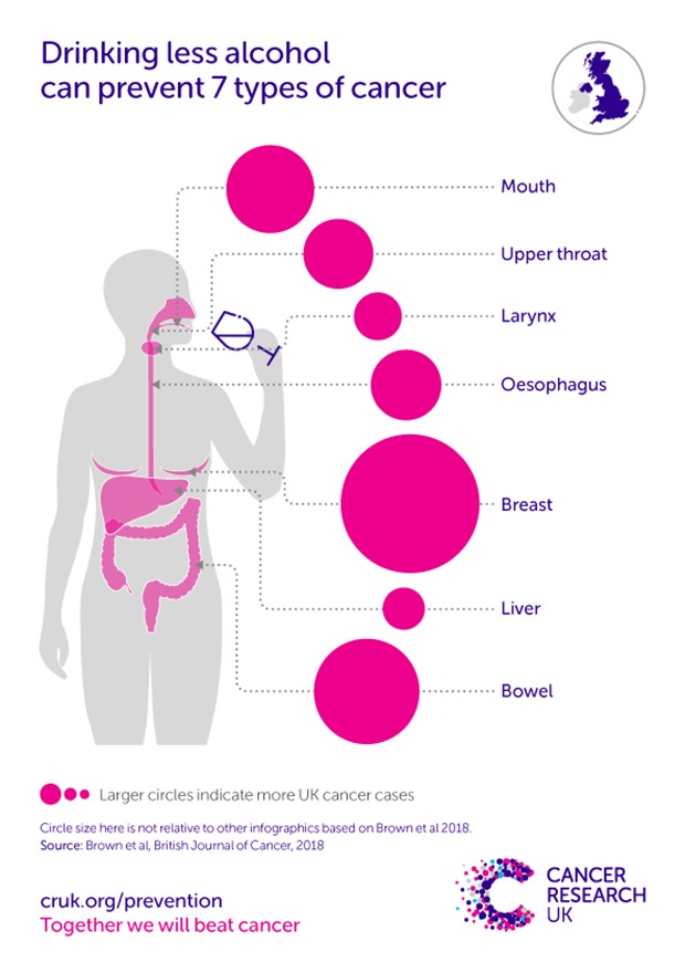 Graphic of cancers linked to alcohol