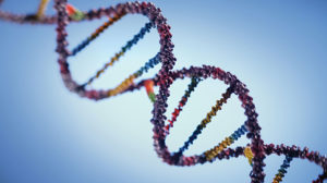 An image showing the structure of DNA
