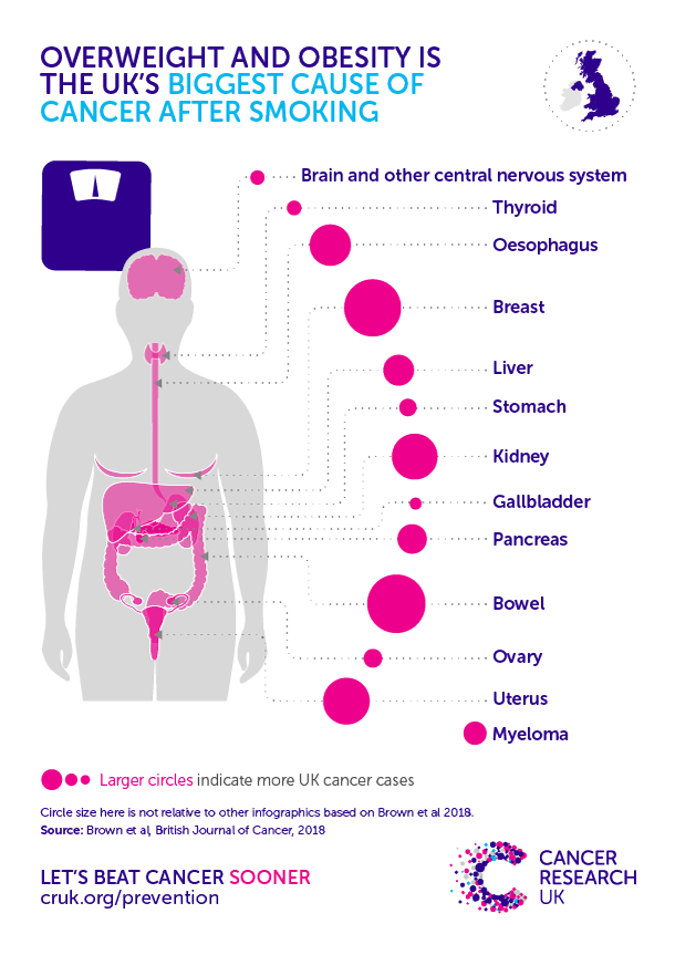 Obesity overweight cancer