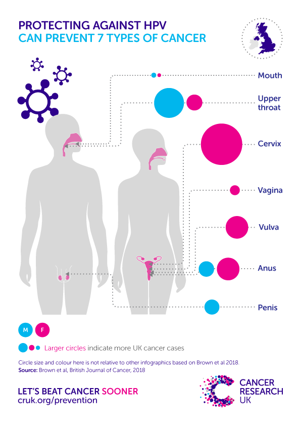 Protecting against HPV can prevent 7 types of cancer