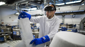 A scientist lowers biological samples into a liquid nitrogen storage tank at the Cancer Research UK Cambridge Institute