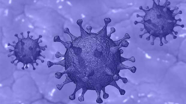 Illustration of COVID-19 coronavirus.