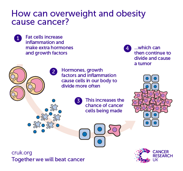 A graphic showing how overweight and obesity can cause cancer.
