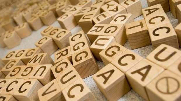 Wooden blocks with letters.