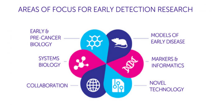 Areas of focus for the early detection of cancer research