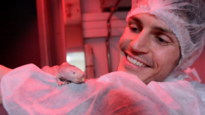 Naked Mole-Rat on Dr Ewan St. John Smith