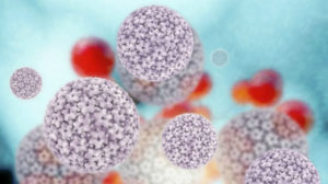 Human papillomavirus