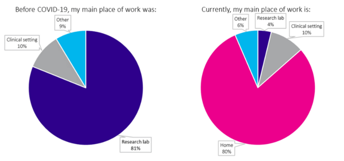 Pie chart showing researchers' main place of work before COVID-19
