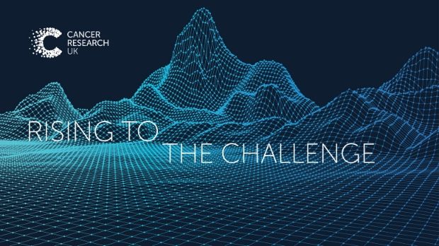 Mountains made of tiny dots sit against a blue background. Overlaid text reads 'Rising to the Challenge'