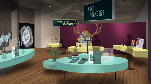 Visualisation of the science museum exhibit. 