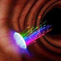 A spectral fingerprint of cancer