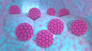 A 3d rendered image of HPV cells
