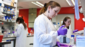 Scientists working in a lab