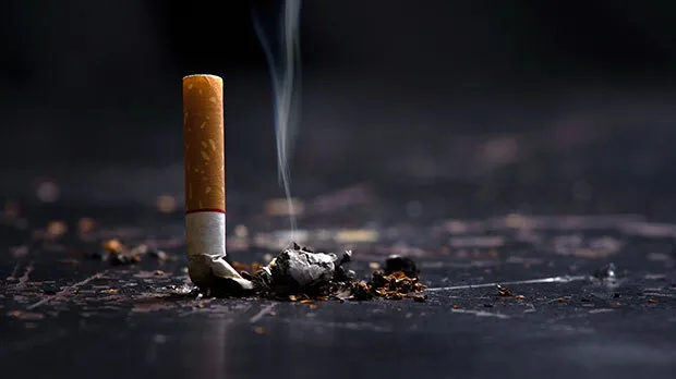 Photograph of a crushed cigarette