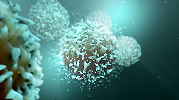 A illustration of T cells, a type of immune cell attacking cancer