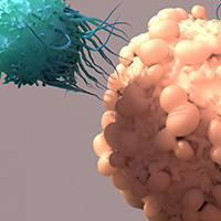 A 3D illustration of a CAR-T cell approaching a cancer cell