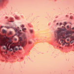 A cancer cell undergoing mitosis, or cloning itself and splitting in two.
