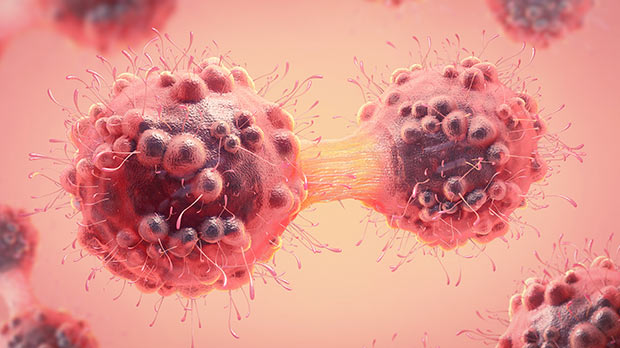 A cancer cell undergoing mitosis, or cloning itself and splitting in two.