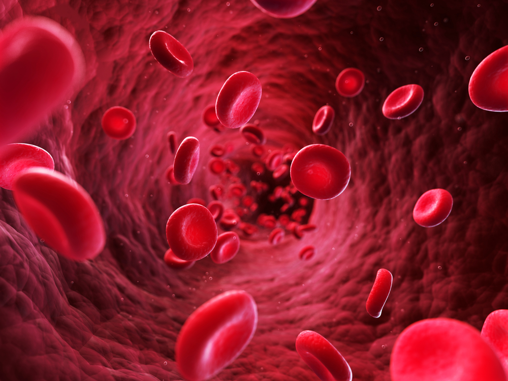 A 3D illustration of red blood cells inside a vein or artery
