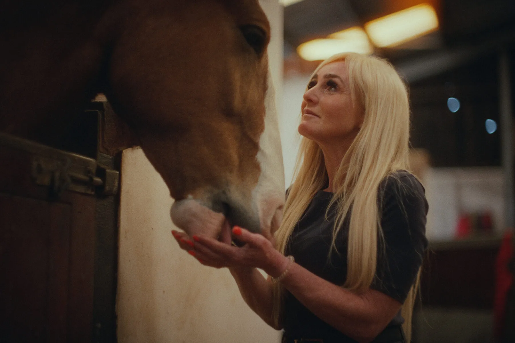 Kelly feeds a horse