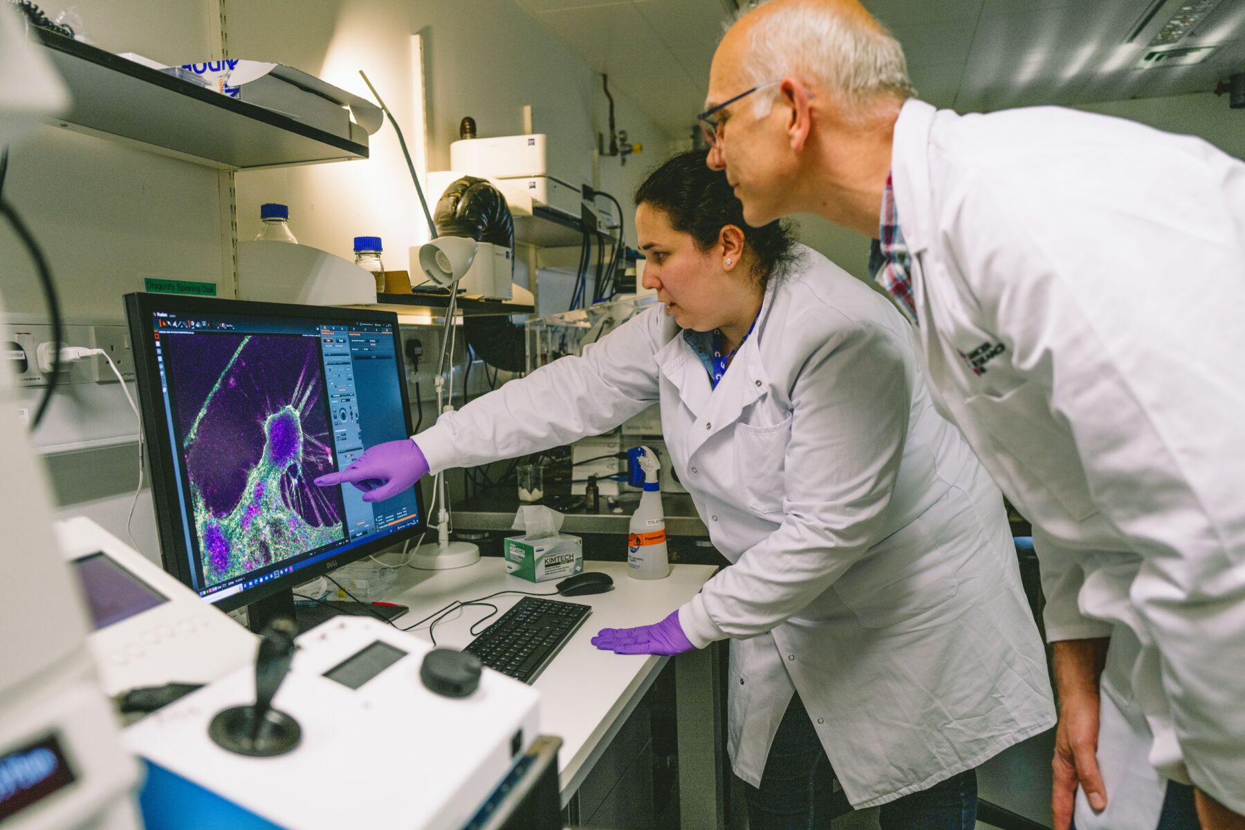 Two cancer researchers looking at a cell image on screen