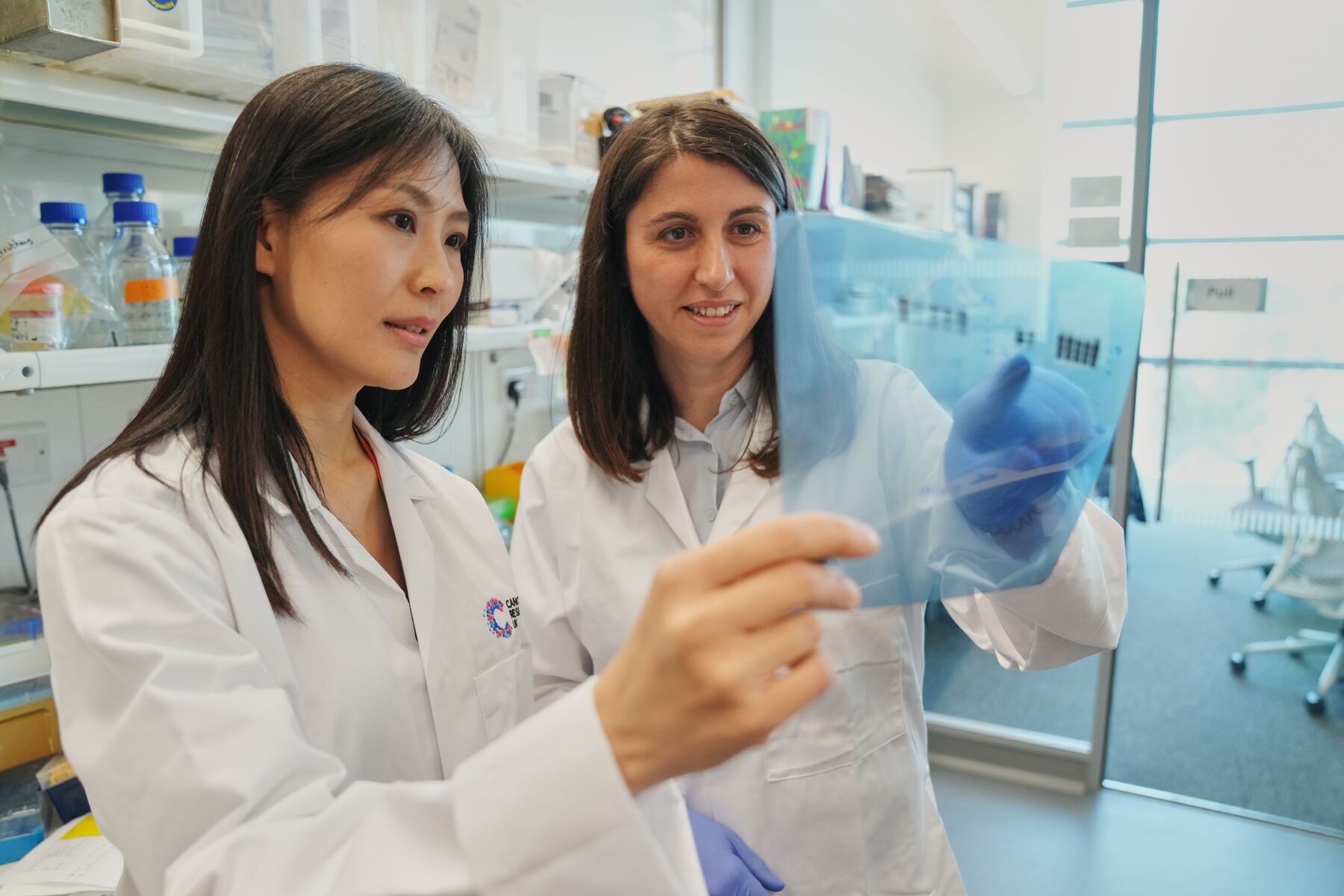 Cancer Research UK-funded scientists working in a lab at the Francis Crick Institute
