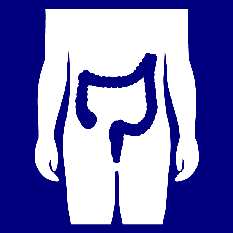 An icon of someone's large intestine