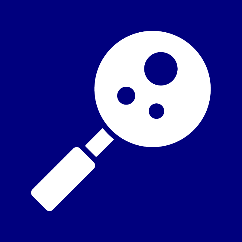 an icon of a magnifying glass