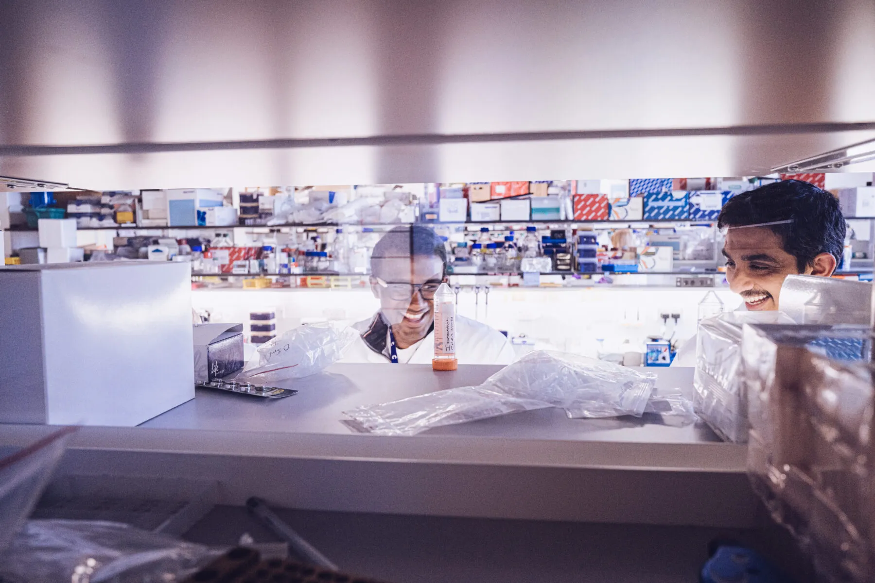 Two researchers chatting in the lab