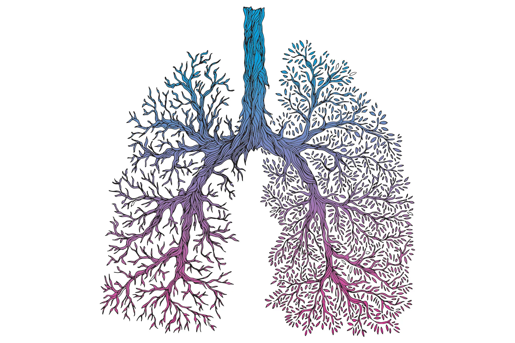 Healthy lungs drawn as if they were an upside-down tree.