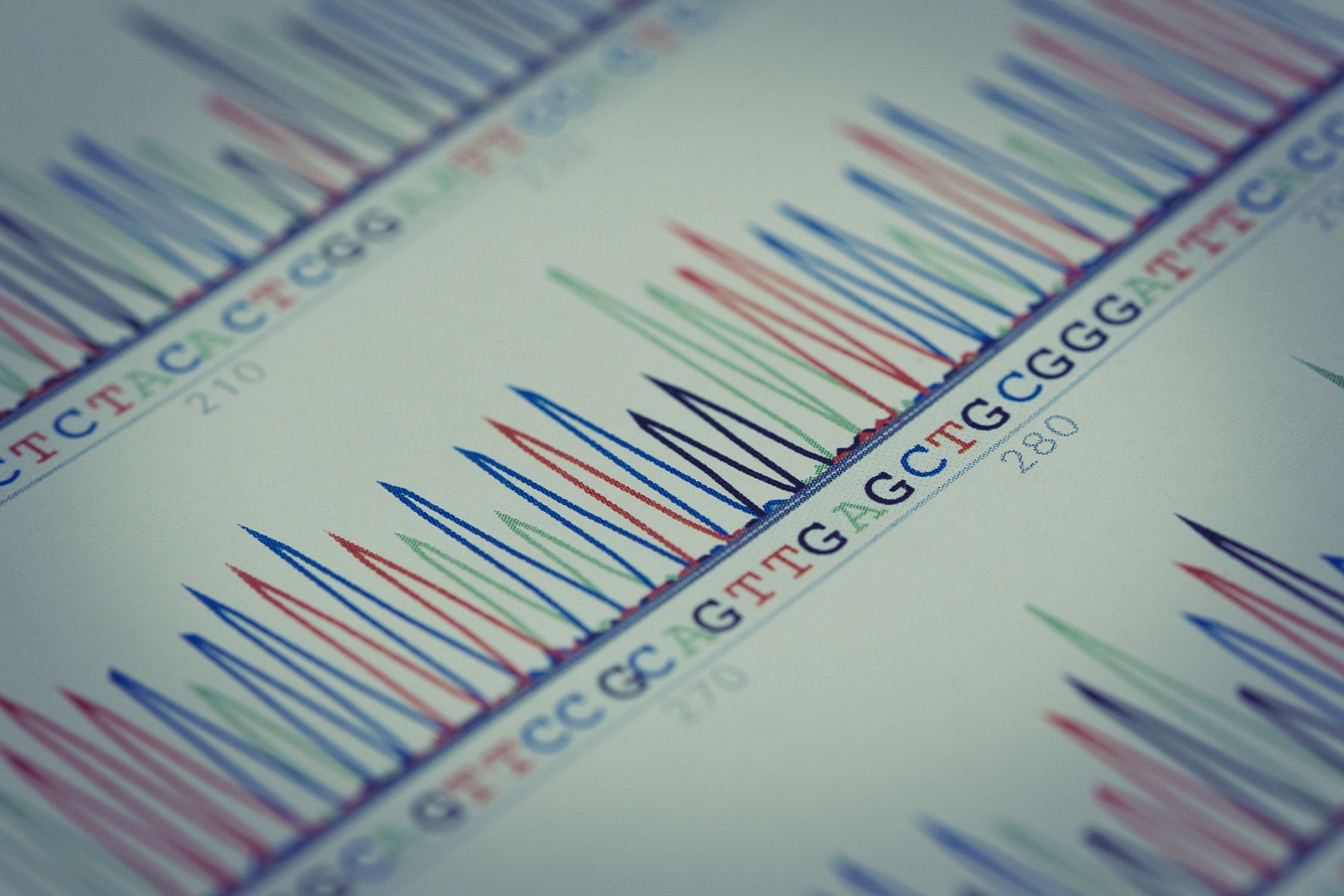 A chart showing the results of a DNA test. Different coloured peaks correspond with different nucleotide bases,