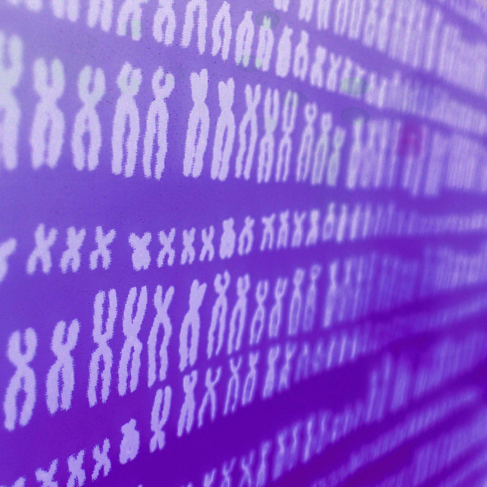 An image showing the shapes of some human chromosomes on a computer screen.