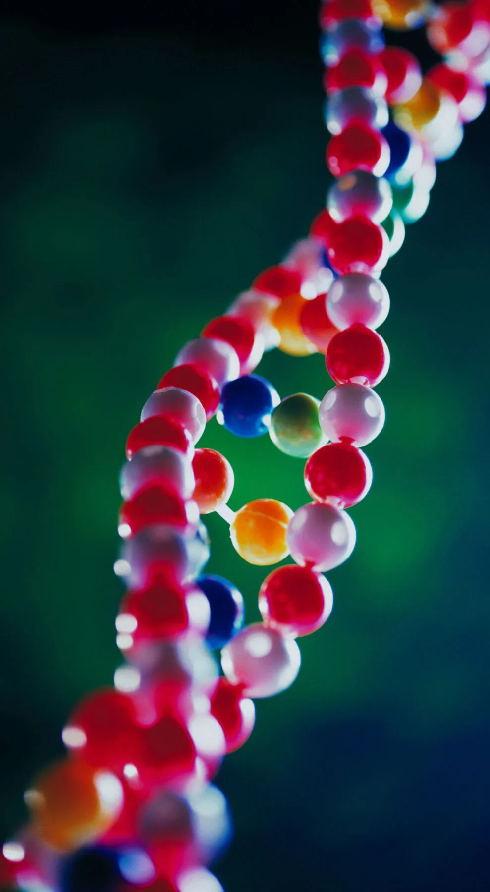 A model representing the structure of DNA