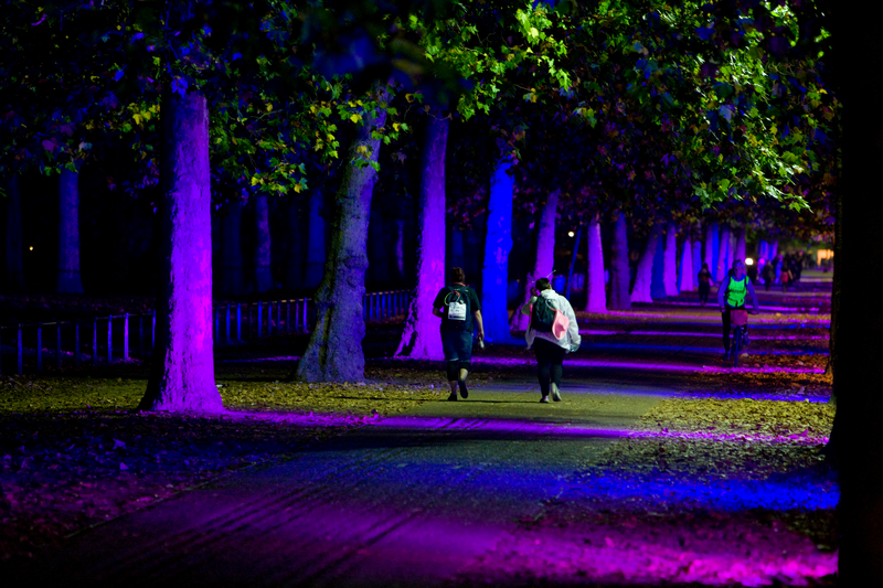 Two people walking by some trees, which are lit up in purple