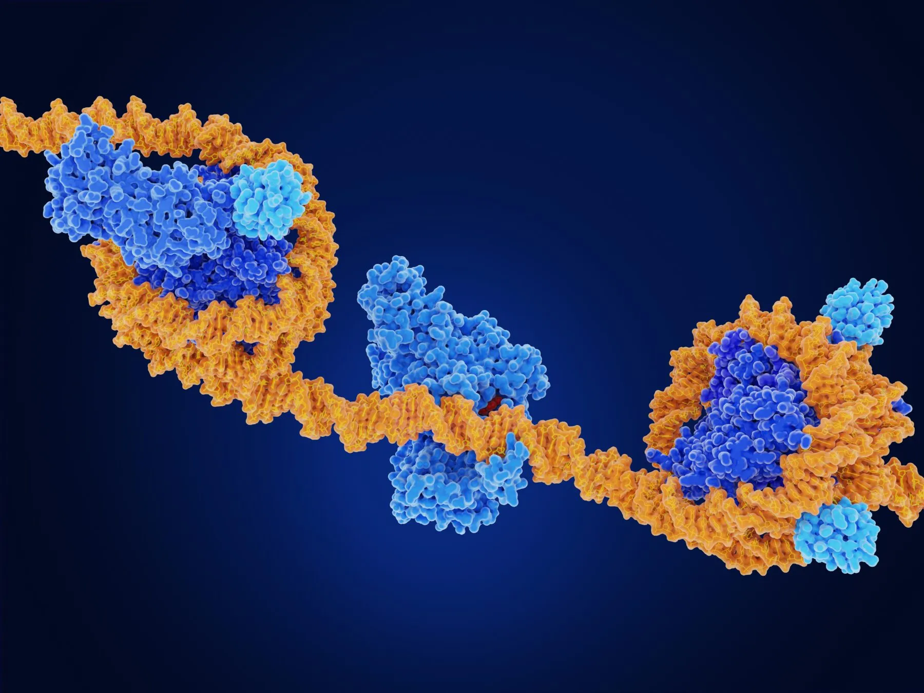 Epigenetics
