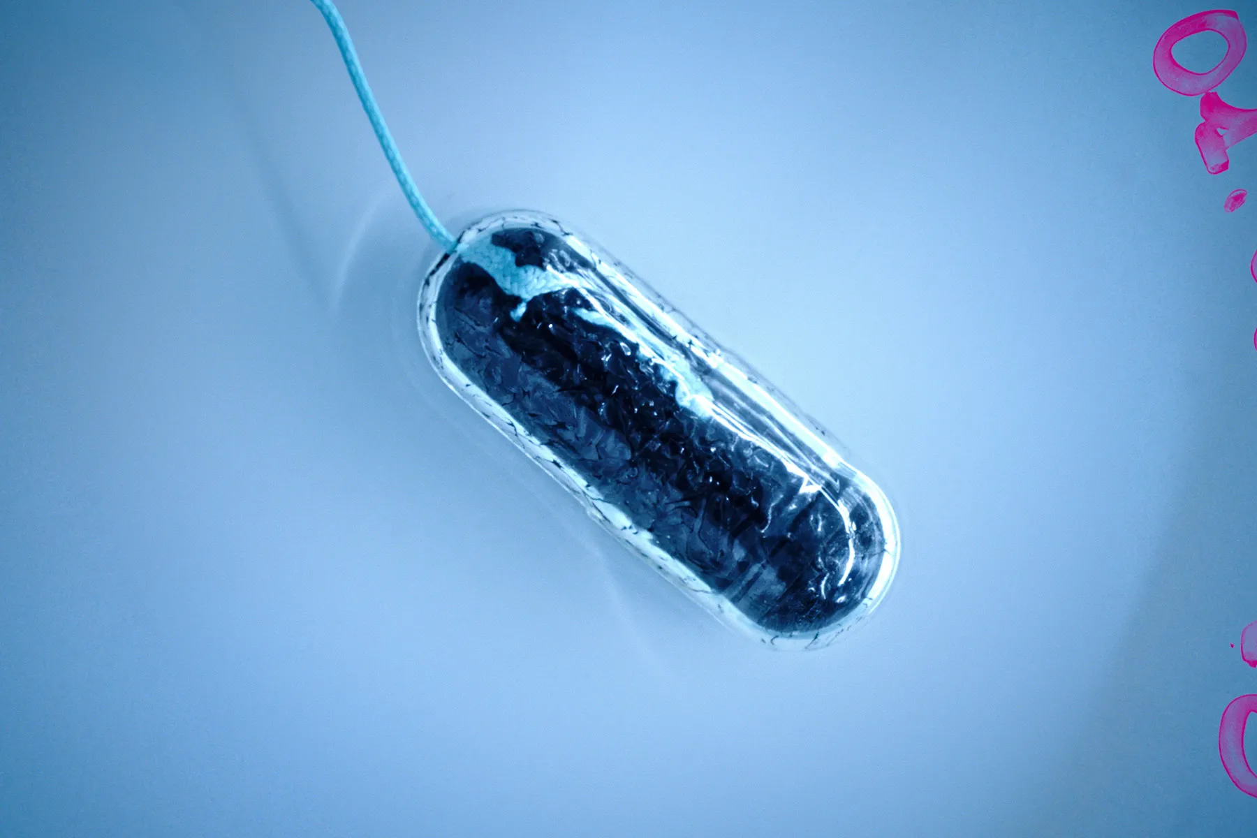 A pill in a petri dish. The Pill is transparent but contains a compressed black sponge. There is a light blue thread attached to one end.